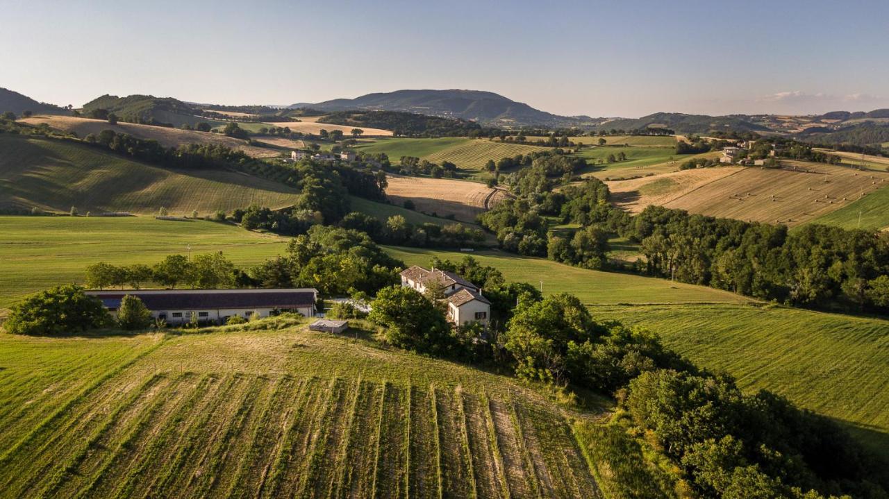 Agriturismo Podere Coldifico Sassoferrato ภายนอก รูปภาพ