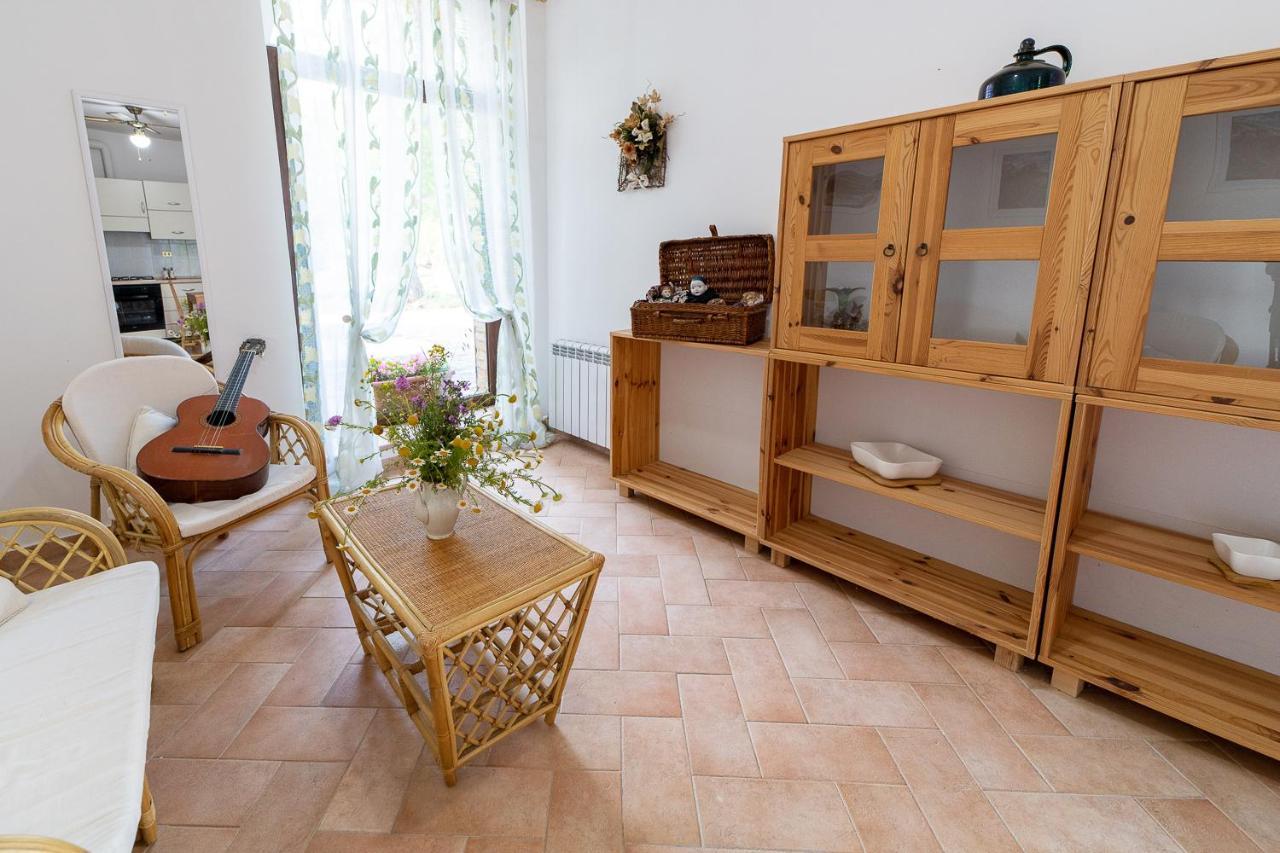 Agriturismo Podere Coldifico Sassoferrato ภายนอก รูปภาพ