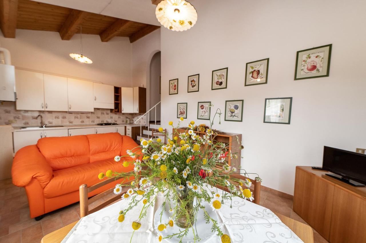 Agriturismo Podere Coldifico Sassoferrato ภายนอก รูปภาพ