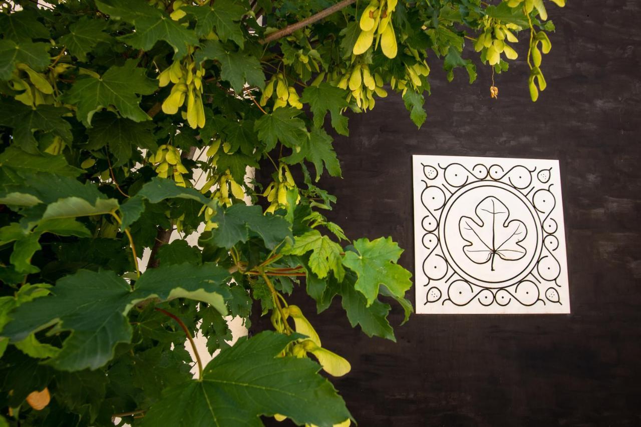 Agriturismo Podere Coldifico Sassoferrato ภายนอก รูปภาพ