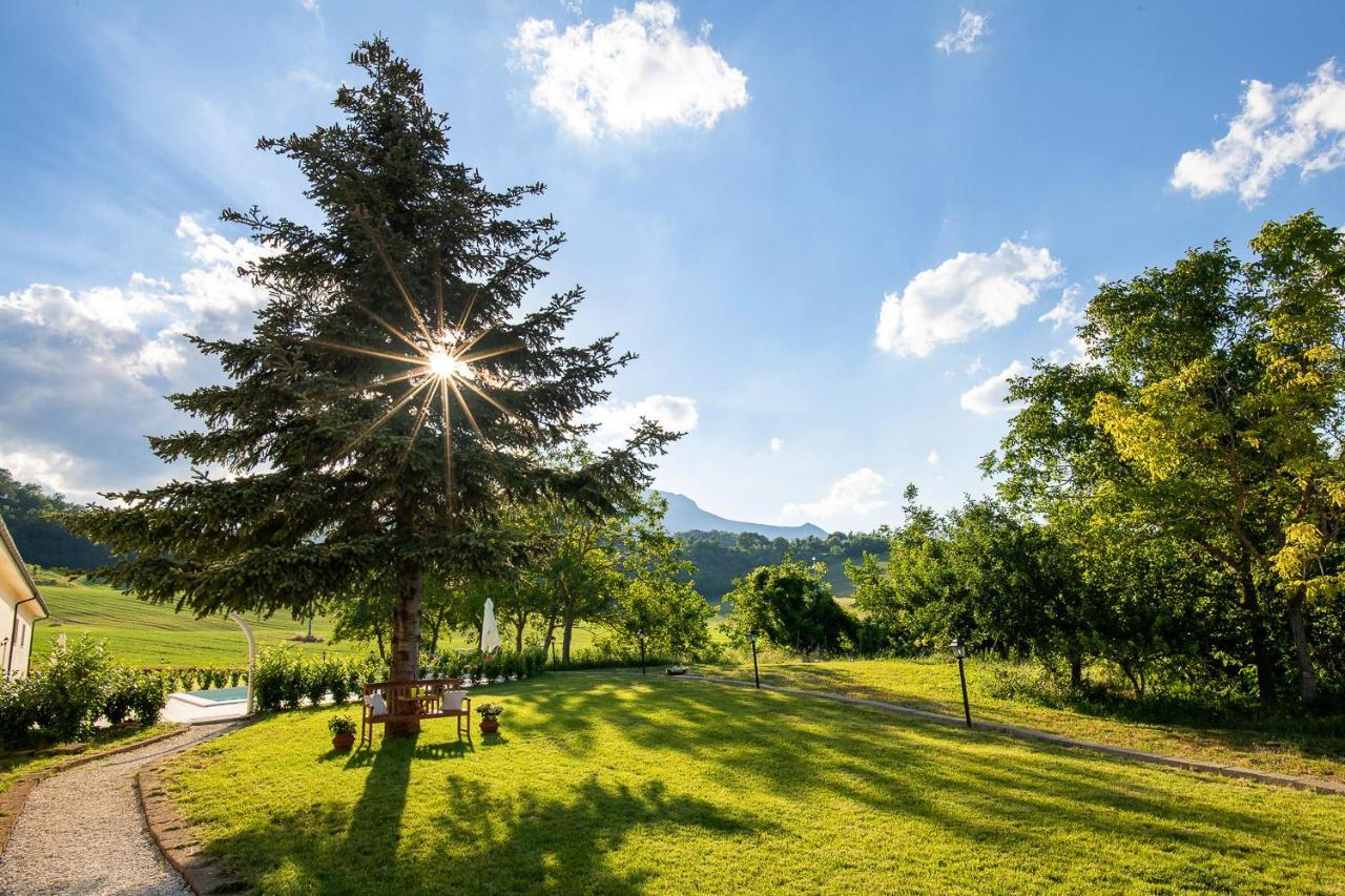 Agriturismo Podere Coldifico Sassoferrato ภายนอก รูปภาพ