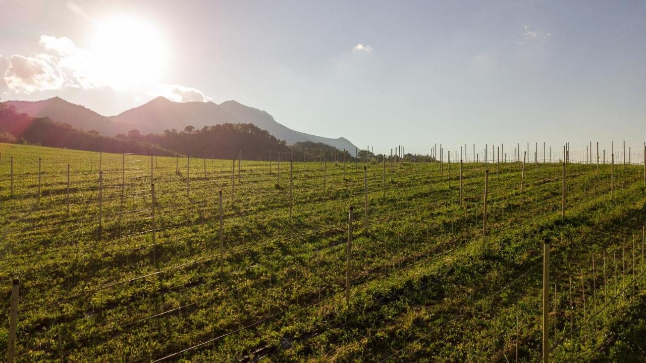 Agriturismo Podere Coldifico Sassoferrato ภายนอก รูปภาพ
